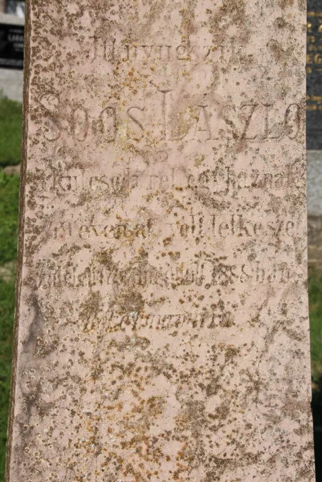 Master file0000079505