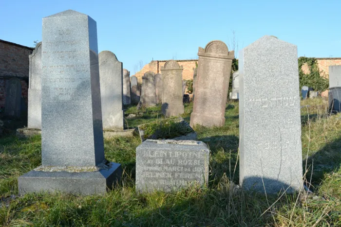 Master file0000061239