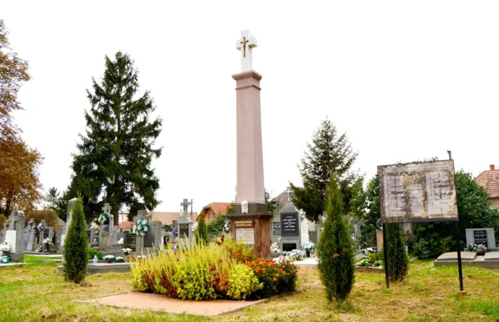 Master file0000071194