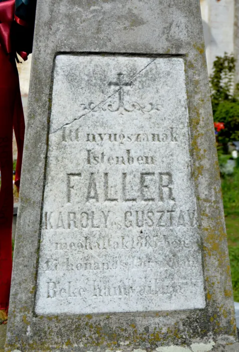 Master file0000072431