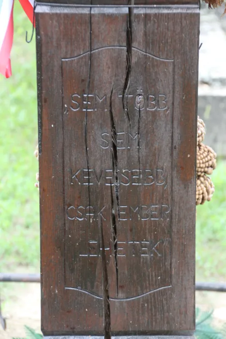 Master file0000061270