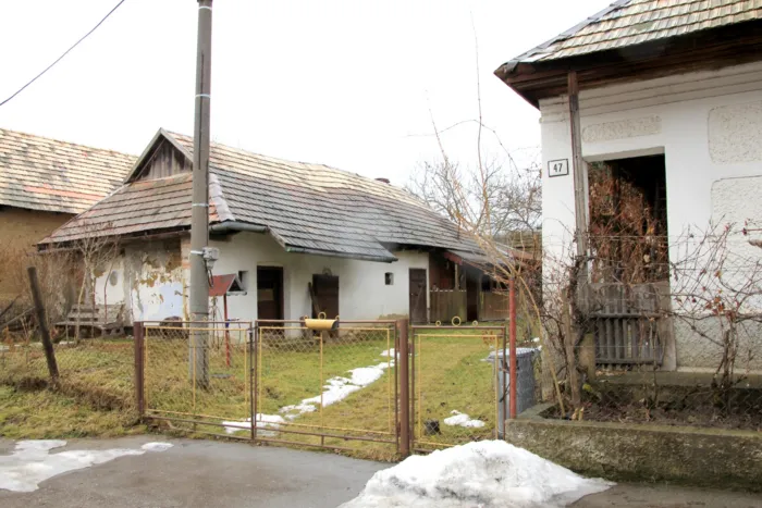 Master file0000077169