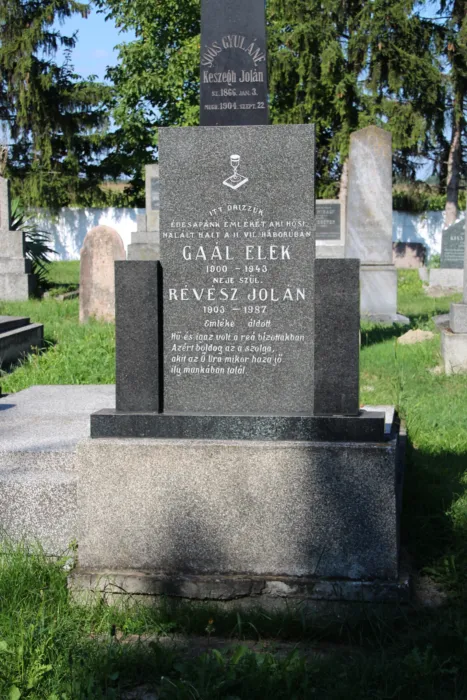 Master file0000076399