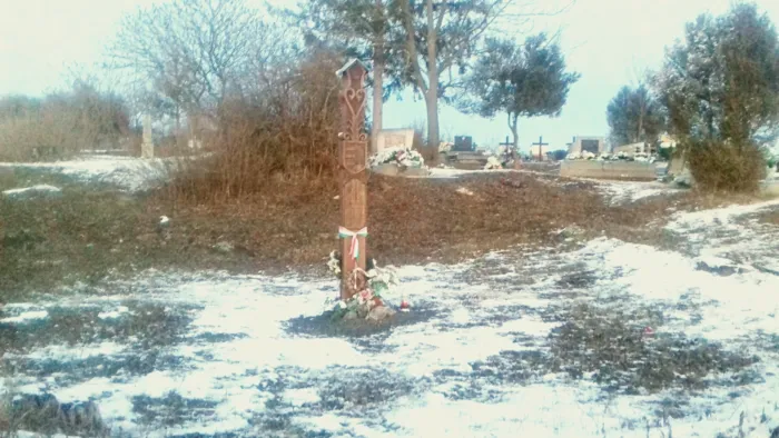 Master file0000072952