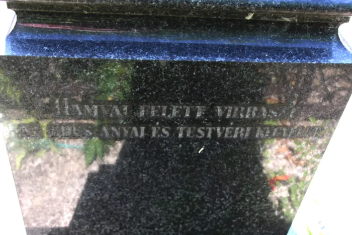 Master file0000064258