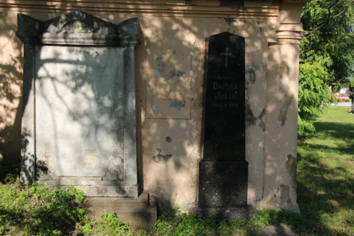 Master file0000067898