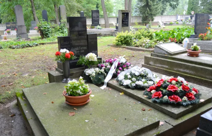 Master file0000059104