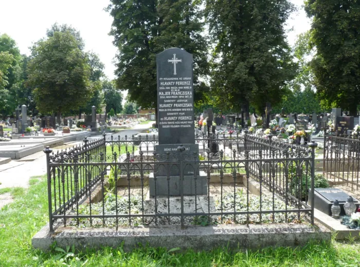 Master file0000065121