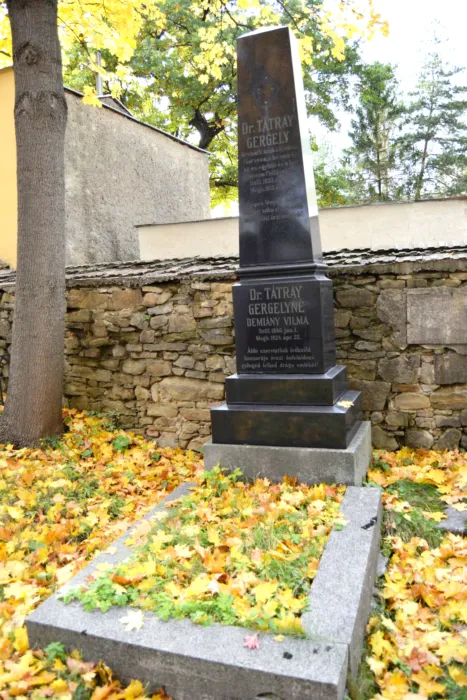 Master file0000076671