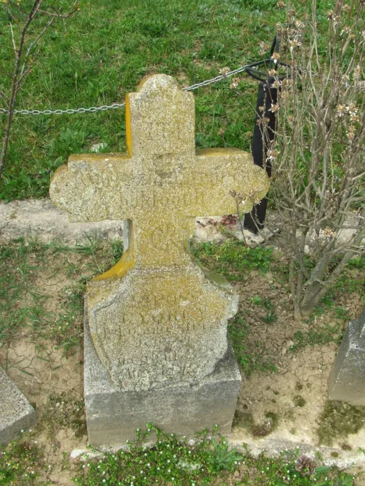 Master file0000076493