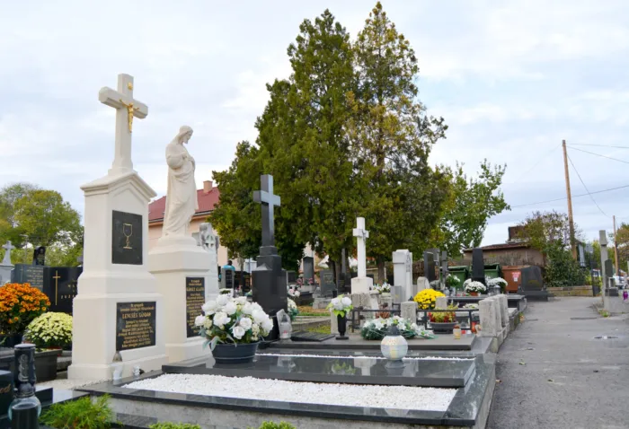 Master file0000075691