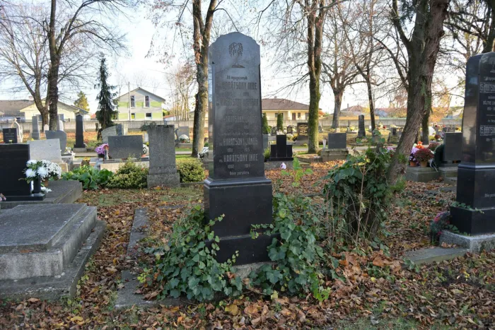 Master file0000078711