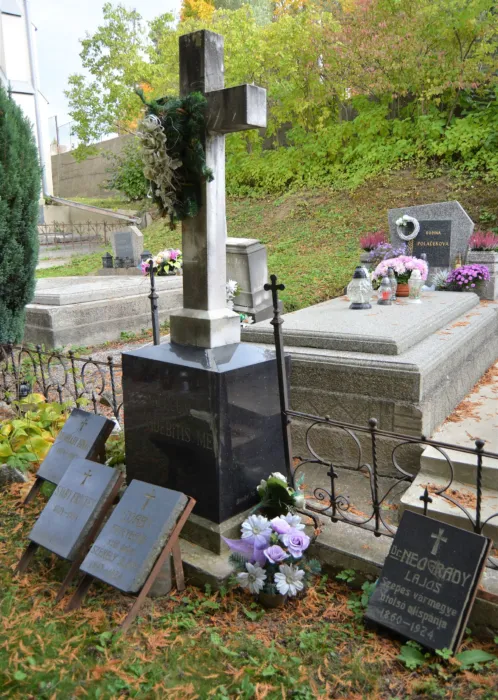 Master file0000073244