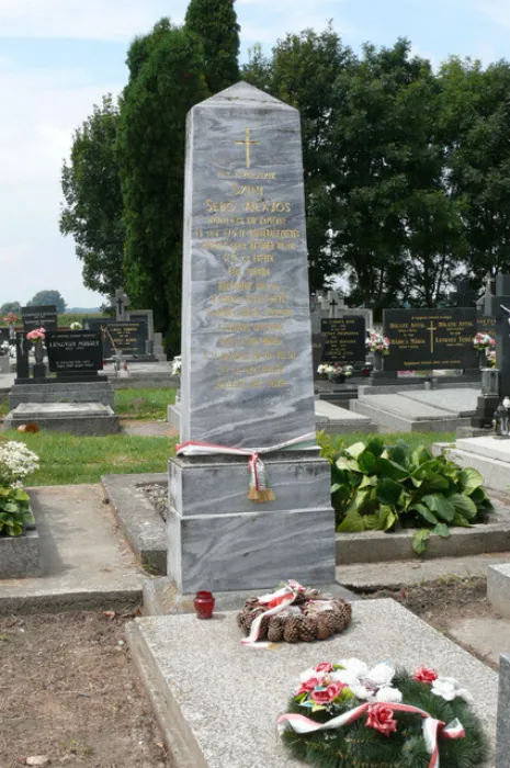 Master file0000072876