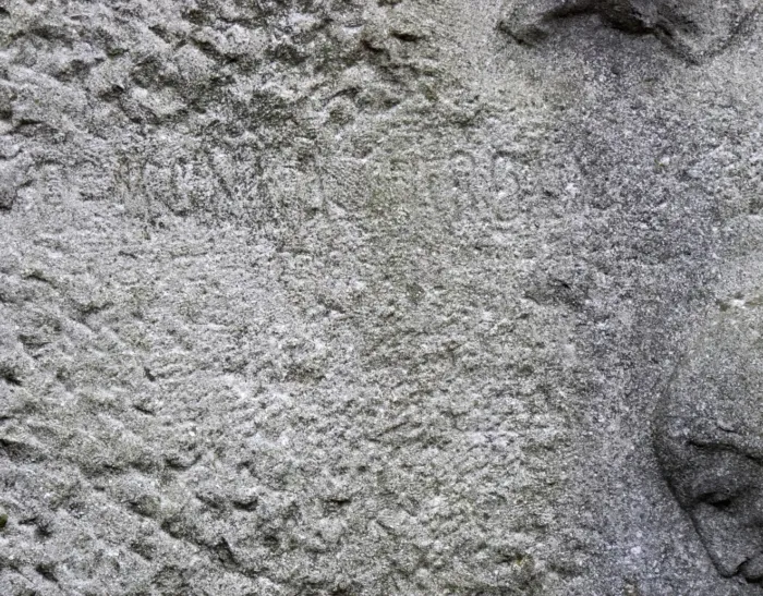 Master file0000074189