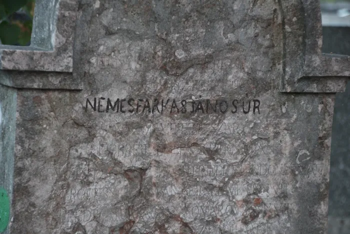 Master file0000076752