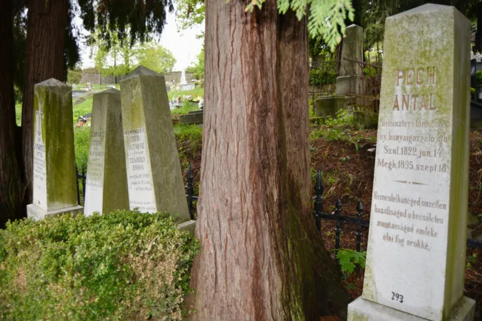 Master file0000075922