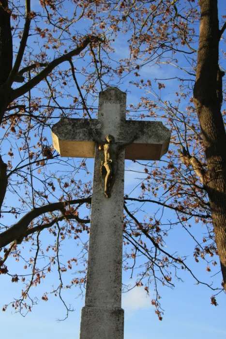 Master file0000065811