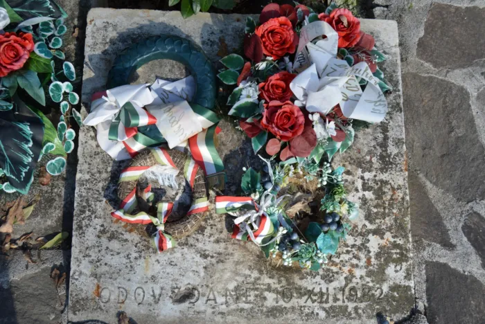 Master file0000075408