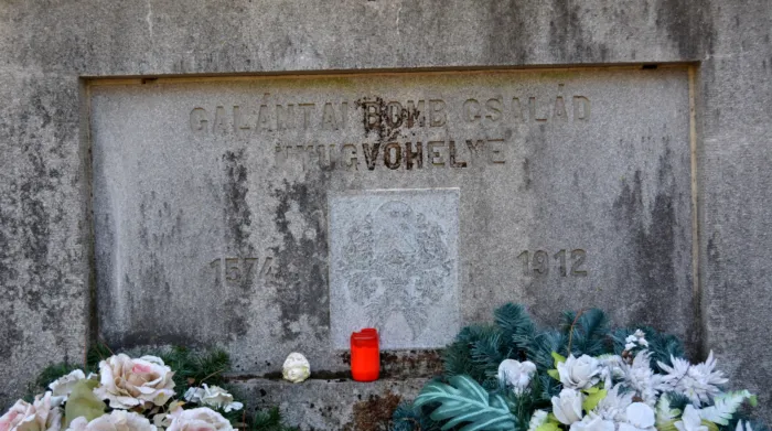 Master file0000061382