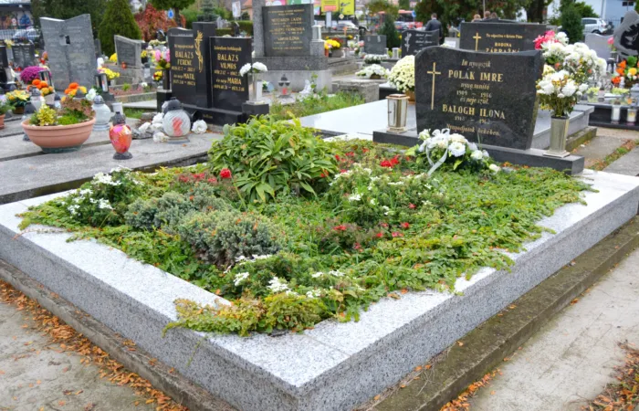 Master file0000073154