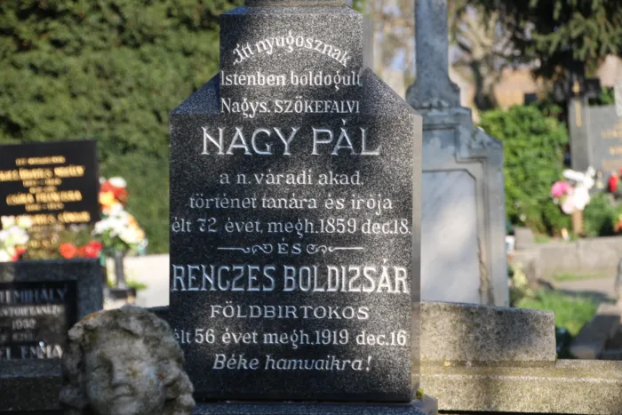 Master file0000079939