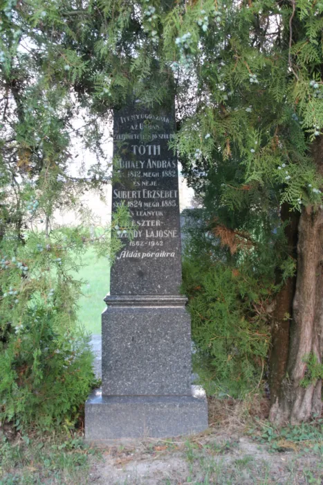 Master file0000070613