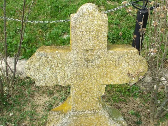 Master file0000065681