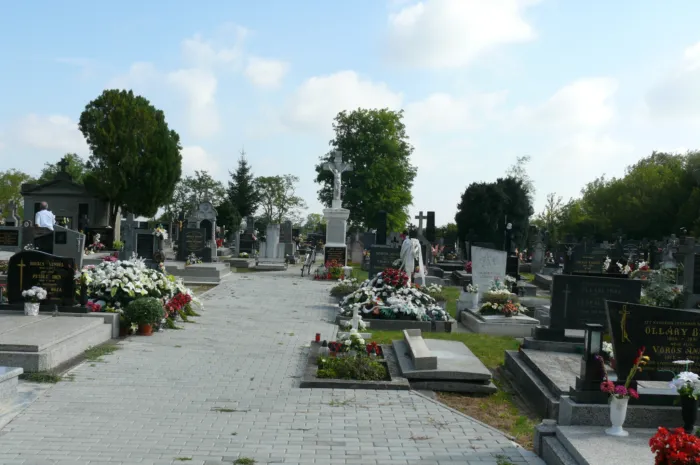 Master file0000066041