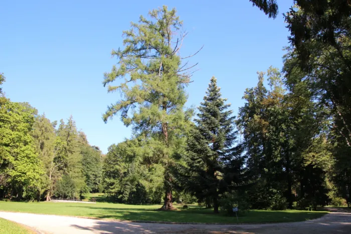 Master file0000071518