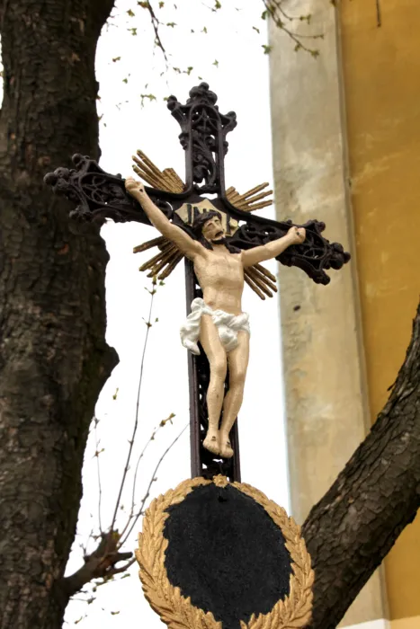 Master file0000079594