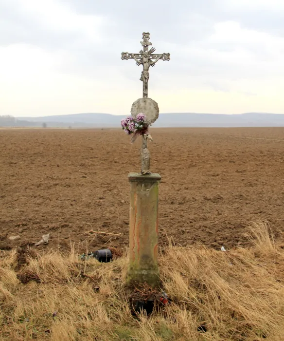 Master file0000074866