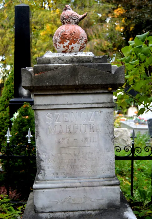 Master file0000075950