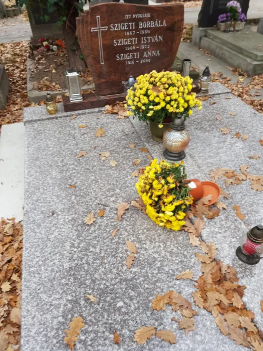 Master file0000077488