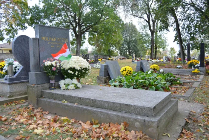 Master file0000075808