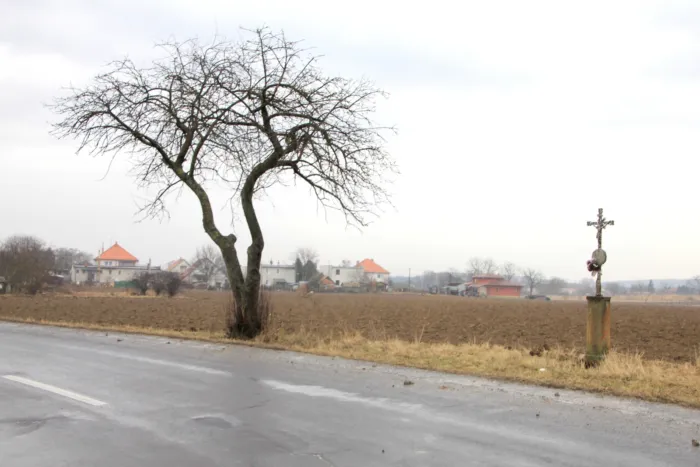 Master file0000071212