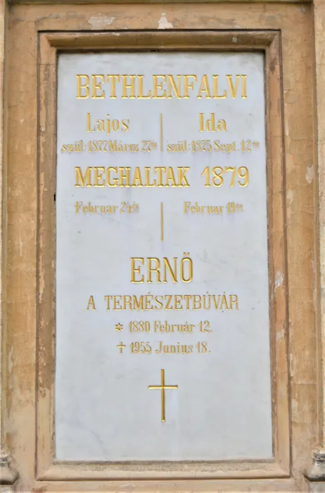 Master file0000065360