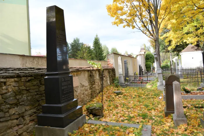 Master file0000076727