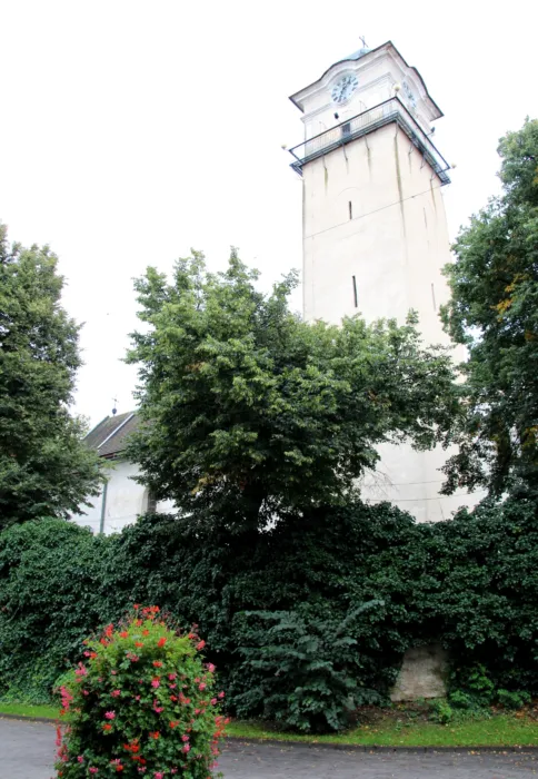 Master file0000075253