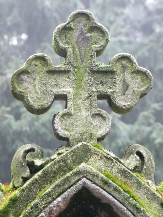 Master file0000073312