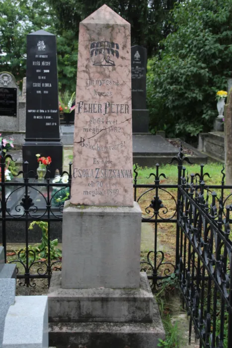 Master file0000069584