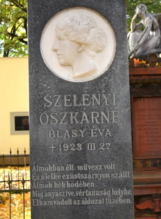 Master file0000080511