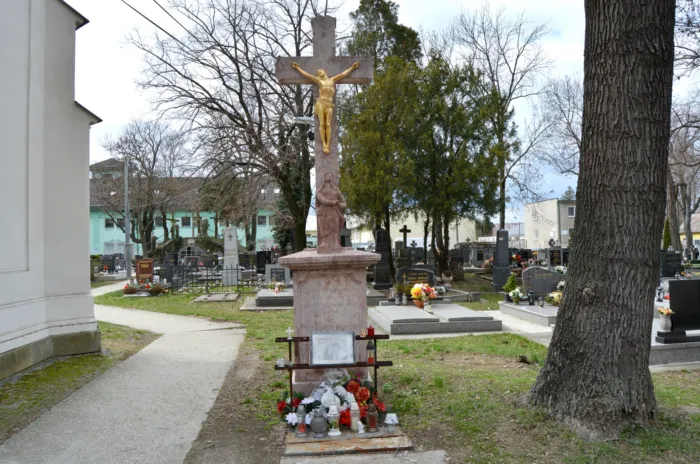 Master file0000079728