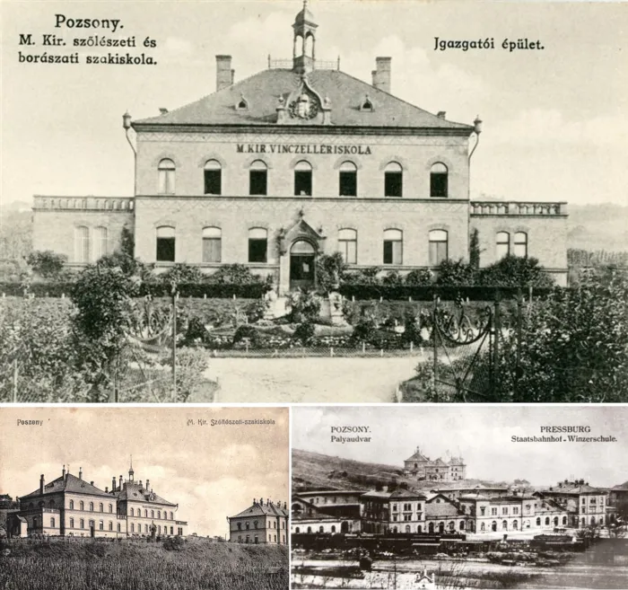 Master file0000078823