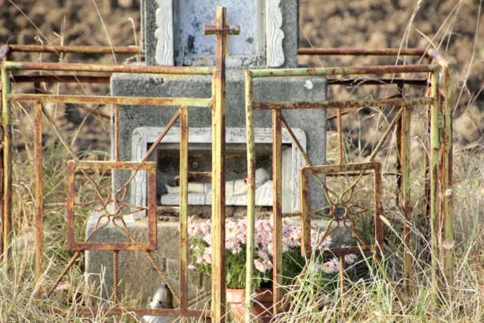 Master file0000060869