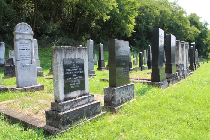 Master file0000074838