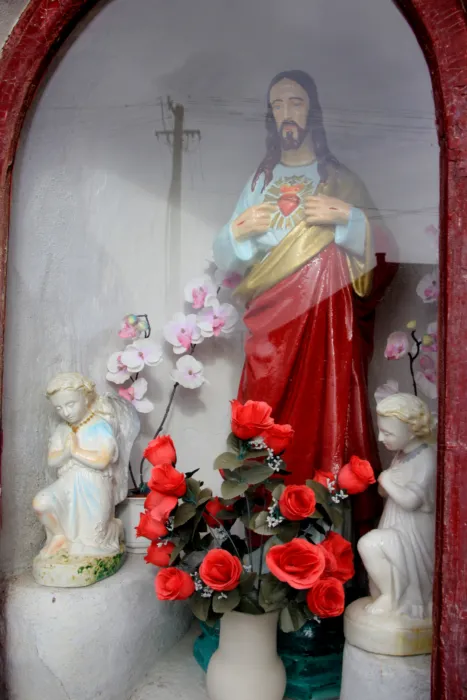 Master file0000069049