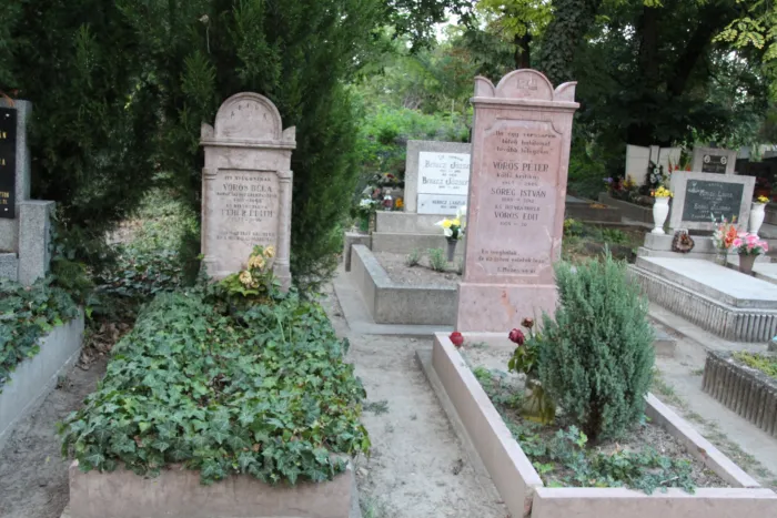 Master file0000073268