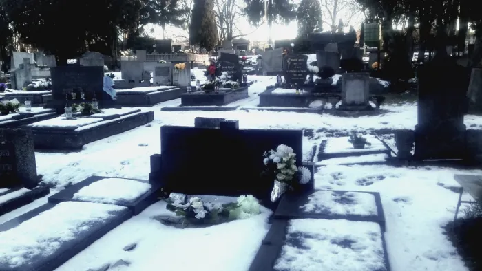 Master file0000077400