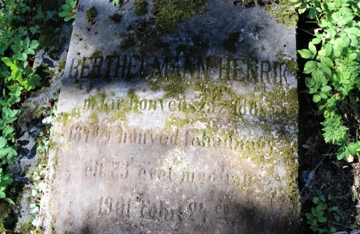 Master file0000062443